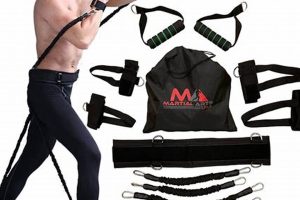 Ultimate MMA Resistance Training Guide Ultimate Guide to MMA: Training, Techniques, and Top Fighters in The World Ultimate MMA Resistance Training Guide | Ultimate Guide to MMA: Training, Techniques, and Top Fighters in The World