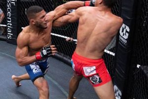 Pro MMA Fighter Angel Alvarez: Stats & Record Ultimate Guide to MMA: Training, Techniques, and Top Fighters in The World Pro MMA Fighter Angel Alvarez: Stats & Record | Ultimate Guide to MMA: Training, Techniques, and Top Fighters in The World