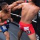Pro MMA Fighter Angel Alvarez: Stats & Record | Ultimate Guide to MMA: Training, Techniques, and Top Fighters in The World