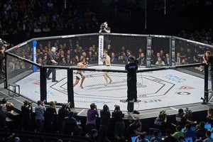 Ultimate Cage Fighting MMA Championship Ultimate Guide to MMA: Training, Techniques, and Top Fighters in The World Ultimate Cage Fighting MMA Championship | Ultimate Guide to MMA: Training, Techniques, and Top Fighters in The World