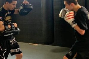 Inside Black House MMA: Training & Champions Ultimate Guide to MMA: Training, Techniques, and Top Fighters in The World Inside Black House MMA: Training & Champions | Ultimate Guide to MMA: Training, Techniques, and Top Fighters in The World