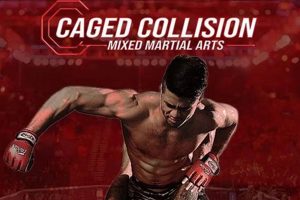 Unleash Your Inner MMA Rampage: Dominate the Octagon Ultimate Guide to MMA: Training, Techniques, and Top Fighters in The World Unleash Your Inner MMA Rampage: Dominate the Octagon | Ultimate Guide to MMA: Training, Techniques, and Top Fighters in The World