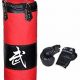Top 5 Best MMA Punching Bags for 2024 | Ultimate Guide to MMA: Training, Techniques, and Top Fighters in The World