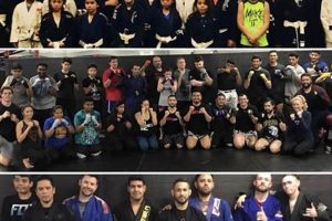 Best MMA Gyms & Training in San Jose, CA Ultimate Guide to MMA: Training, Techniques, and Top Fighters in The World Best MMA Gyms & Training in San Jose, CA | Ultimate Guide to MMA: Training, Techniques, and Top Fighters in The World