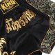 Best MMA Muay Thai Shorts: Top Fight Gear | Ultimate Guide to MMA: Training, Techniques, and Top Fighters in The World