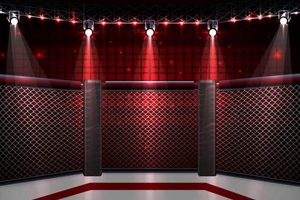 Ultimate MMA Cage Backgrounds & Images Ultimate Guide to MMA: Training, Techniques, and Top Fighters in The World Ultimate MMA Cage Backgrounds & Images | Ultimate Guide to MMA: Training, Techniques, and Top Fighters in The World