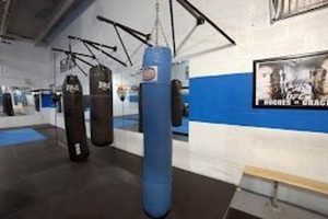 Train & Evolve: Evolution MMA Miami Gym Ultimate Guide to MMA: Training, Techniques, and Top Fighters in The World Train & Evolve: Evolution MMA Miami Gym | Ultimate Guide to MMA: Training, Techniques, and Top Fighters in The World