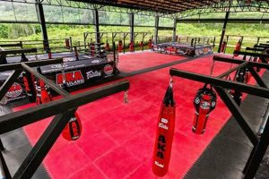 Best MMA Gyms & Training in Thailand Ultimate Guide to MMA: Training, Techniques, and Top Fighters in The World Best MMA Gyms & Training in Thailand | Ultimate Guide to MMA: Training, Techniques, and Top Fighters in The World