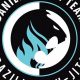 Best MMA Gyms &amp; Training in Grand Rapids | Ultimate Guide to MMA: Training, Techniques, and Top Fighters in The World
