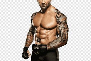 From WWE to MMA: Wrestlers in the Octagon Ultimate Guide to MMA: Training, Techniques, and Top Fighters in The World From WWE to MMA: Wrestlers in the Octagon | Ultimate Guide to MMA: Training, Techniques, and Top Fighters in The World