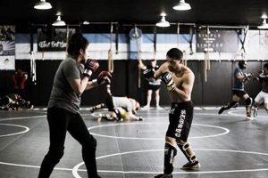 Best MMA Gyms & Training in Boise, Idaho Ultimate Guide to MMA: Training, Techniques, and Top Fighters in The World Best MMA Gyms & Training in Boise, Idaho | Ultimate Guide to MMA: Training, Techniques, and Top Fighters in The World