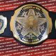The Ultimate MMA Hall of Fame: Legends Enshrined | Ultimate Guide to MMA: Training, Techniques, and Top Fighters in The World