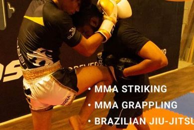 Top 10 Best MMA Trainers: Ultimate Guide Ultimate Guide to MMA: Training, Techniques, and Top Fighters in The World Top 10 Best MMA Trainers: Ultimate Guide | Ultimate Guide to MMA: Training, Techniques, and Top Fighters in The World