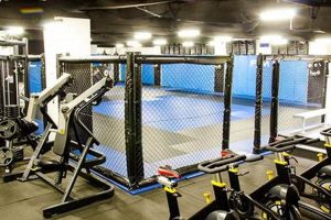 Best Top MMA Gyms & Training Centers Ultimate Guide to MMA: Training, Techniques, and Top Fighters in The World Best Top MMA Gyms & Training Centers | Ultimate Guide to MMA: Training, Techniques, and Top Fighters in The World