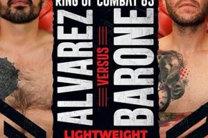 Learn DCB MMA: Ultimate Guide & Tips Ultimate Guide to MMA: Training, Techniques, and Top Fighters in The World Learn DCB MMA: Ultimate Guide & Tips | Ultimate Guide to MMA: Training, Techniques, and Top Fighters in The World