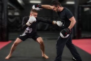 MMA Training Cost: Full Breakdown (2024) Ultimate Guide to MMA: Training, Techniques, and Top Fighters in The World MMA Training Cost: Full Breakdown (2024) | Ultimate Guide to MMA: Training, Techniques, and Top Fighters in The World