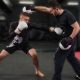 MMA Training Cost: Full Breakdown (2024) | Ultimate Guide to MMA: Training, Techniques, and Top Fighters in The World