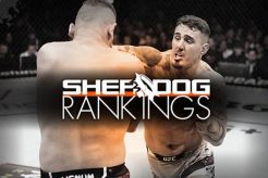 The Ultimate Sherdog MMA Forum Guide Ultimate Guide to MMA: Training, Techniques, and Top Fighters in The World The Ultimate Sherdog MMA Forum Guide | Ultimate Guide to MMA: Training, Techniques, and Top Fighters in The World