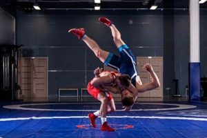 MMA Grappling Explained: The Ultimate Guide Ultimate Guide to MMA: Training, Techniques, and Top Fighters in The World MMA Grappling Explained: The Ultimate Guide | Ultimate Guide to MMA: Training, Techniques, and Top Fighters in The World