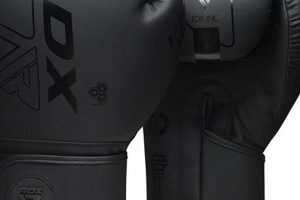 Mma Glvoes | Ultimate Guide to MMA: Training, Techniques, and Top Fighters in The World