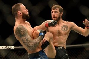 Is UFC the Same as MMA? Key Differences Explained | Ultimate Guide to MMA: Training, Techniques, and Top Fighters in The World