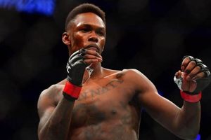 Ultimate Guide to MMA Middleweight Champions Ultimate Guide to MMA: Training, Techniques, and Top Fighters in The World Ultimate Guide to MMA Middleweight Champions | Ultimate Guide to MMA: Training, Techniques, and Top Fighters in The World