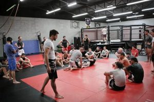 Top 10 Best MMA Gyms in the US: Find Your Fit Ultimate Guide to MMA: Training, Techniques, and Top Fighters in The World Top 10 Best MMA Gyms in the US: Find Your Fit | Ultimate Guide to MMA: Training, Techniques, and Top Fighters in The World