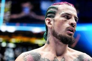 UFC's Sean O'Malley: MMA Star on the Rise Ultimate Guide to MMA: Training, Techniques, and Top Fighters in The World UFC's Sean O'Malley: MMA Star on the Rise | Ultimate Guide to MMA: Training, Techniques, and Top Fighters in The World