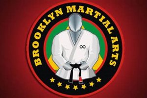 Top Brooklyn MMA Gyms: Find Your Perfect Fit Ultimate Guide to MMA: Training, Techniques, and Top Fighters in The World Top Brooklyn MMA Gyms: Find Your Perfect Fit | Ultimate Guide to MMA: Training, Techniques, and Top Fighters in The World