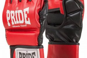 Top Pride MMA Gloves: Guide & Reviews Ultimate Guide to MMA: Training, Techniques, and Top Fighters in The World Top Pride MMA Gloves: Guide & Reviews | Ultimate Guide to MMA: Training, Techniques, and Top Fighters in The World