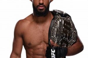The Legendary Demetrious Johnson: MMA Icon Ultimate Guide to MMA: Training, Techniques, and Top Fighters in The World The Legendary Demetrious Johnson: MMA Icon | Ultimate Guide to MMA: Training, Techniques, and Top Fighters in The World
