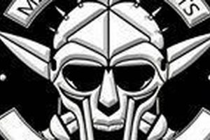 The Rise of Union MMA: Fighters Unite | Ultimate Guide to MMA: Training, Techniques, and Top Fighters in The World