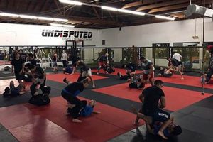 Best MMA Classes & Gyms in Tucson, AZ Ultimate Guide to MMA: Training, Techniques, and Top Fighters in The World Best MMA Classes & Gyms in Tucson, AZ | Ultimate Guide to MMA: Training, Techniques, and Top Fighters in The World