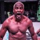 Robelis Despaigne: Cuban MMA Fighter Rising | Ultimate Guide to MMA: Training, Techniques, and Top Fighters in The World