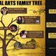 The Real Story: Who Invented MMA? Unveiled | Ultimate Guide to MMA: Training, Techniques, and Top Fighters in The World