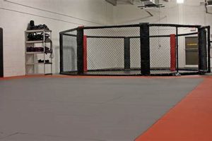 Best MMA Gym & Fitness Center in Raleigh NC Ultimate Guide to MMA: Training, Techniques, and Top Fighters in The World Best MMA Gym & Fitness Center in Raleigh NC | Ultimate Guide to MMA: Training, Techniques, and Top Fighters in The World