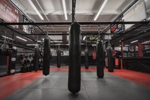 Find the Best MMA Gym on Long Island, NY Ultimate Guide to MMA: Training, Techniques, and Top Fighters in The World Find the Best MMA Gym on Long Island, NY | Ultimate Guide to MMA: Training, Techniques, and Top Fighters in The World