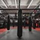 Find the Best MMA Gym on Long Island, NY | Ultimate Guide to MMA: Training, Techniques, and Top Fighters in The World