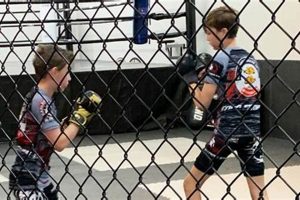 Youth MMA Training: A Safe Guide for Kids Fights Ultimate Guide to MMA: Training, Techniques, and Top Fighters in The World Youth MMA Training: A Safe Guide for Kids Fights | Ultimate Guide to MMA: Training, Techniques, and Top Fighters in The World