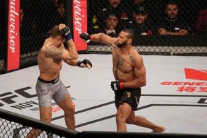 Ultimate Guide to UFC & MMA: Tips & Tricks | Ultimate Guide to MMA: Training, Techniques, and Top Fighters in The World