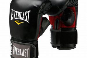 Best Everlast MMA Heavy Bag Gloves for Training Ultimate Guide to MMA: Training, Techniques, and Top Fighters in The World Best Everlast MMA Heavy Bag Gloves for Training | Ultimate Guide to MMA: Training, Techniques, and Top Fighters in The World