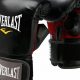 Best Everlast MMA Heavy Bag Gloves for Training | Ultimate Guide to MMA: Training, Techniques, and Top Fighters in The World