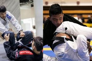 The MMA Twister: Guide & Techniques | Ultimate Guide to MMA: Training, Techniques, and Top Fighters in The World