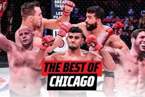 Best MMA Gyms & Training in Chicago, IL Ultimate Guide to MMA: Training, Techniques, and Top Fighters in The World Best MMA Gyms & Training in Chicago, IL | Ultimate Guide to MMA: Training, Techniques, and Top Fighters in The World