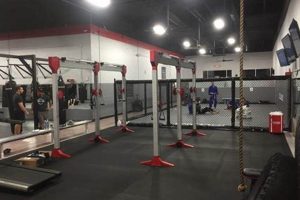 Best MMA Gyms in Scottsdale, AZ | Top Training Ultimate Guide to MMA: Training, Techniques, and Top Fighters in The World Best MMA Gyms in Scottsdale, AZ | Top Training | Ultimate Guide to MMA: Training, Techniques, and Top Fighters in The World