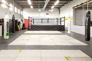 Unleash Your Inner Fighter: Relentless MMA & Fitness Training Ultimate Guide to MMA: Training, Techniques, and Top Fighters in The World Unleash Your Inner Fighter: Relentless MMA & Fitness Training | Ultimate Guide to MMA: Training, Techniques, and Top Fighters in The World