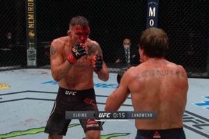 Brutal Bloody MMA Fights: Aftermath & Safety Ultimate Guide to MMA: Training, Techniques, and Top Fighters in The World Brutal Bloody MMA Fights: Aftermath & Safety | Ultimate Guide to MMA: Training, Techniques, and Top Fighters in The World