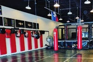 Dominion MMA: Train for Total Control Ultimate Guide to MMA: Training, Techniques, and Top Fighters in The World Dominion MMA: Train for Total Control | Ultimate Guide to MMA: Training, Techniques, and Top Fighters in The World