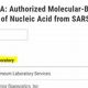 MMA Labcorp Test Codes: A Comprehensive Guide | Ultimate Guide to MMA: Training, Techniques, and Top Fighters in The World