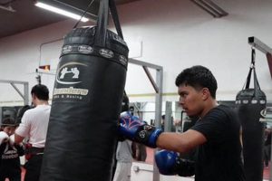 Rounders MMA & Boxing: Pricing & Cost Guide Ultimate Guide to MMA: Training, Techniques, and Top Fighters in The World Rounders MMA & Boxing: Pricing & Cost Guide | Ultimate Guide to MMA: Training, Techniques, and Top Fighters in The World